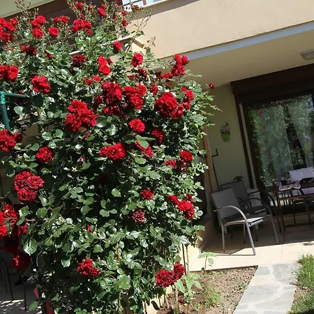 Mylonas Villas * Skala Rachoni (Thasos)